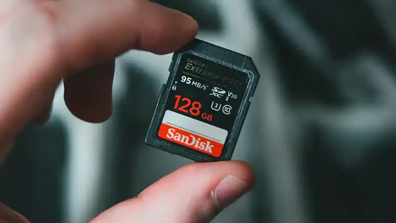 A Guide To SD & CFexpress Memory Cards