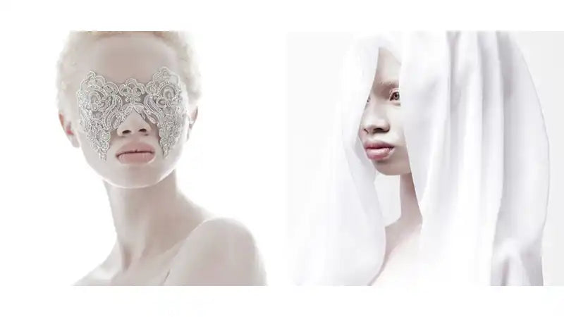 Albus Exhibition by Justin Dingwall