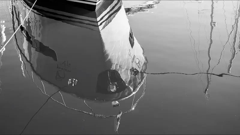 Black & White Photography: Mastering Monochrome Mode