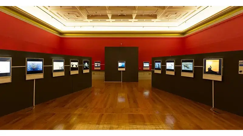 Exhibition: Oceans Of Life 2014 At ISAM