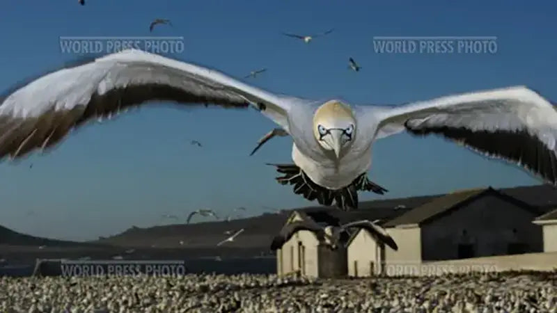 Orms Customers Win Big At WPP Awards