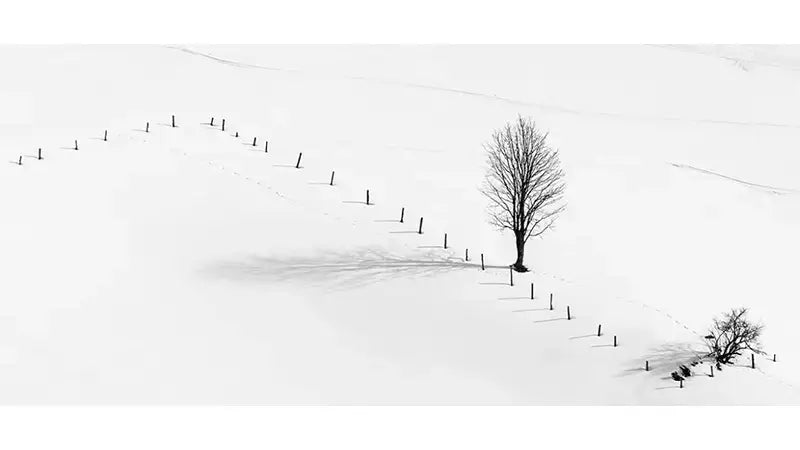 Orms Photo Art: Featured Artist Phil Sturgess