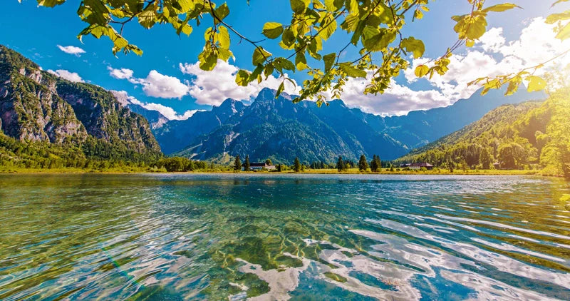 Earth Day Through the Lens: How Photography Can Inspire Change