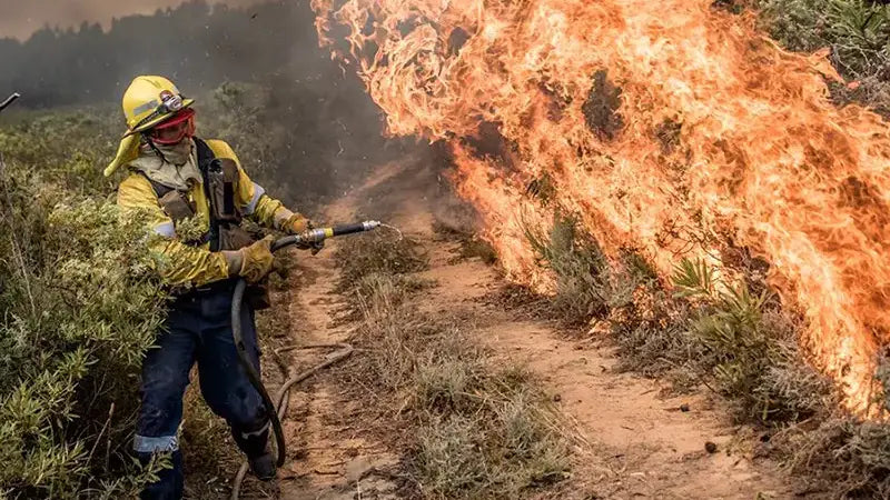 Shooting Fire with Justin Sullivan