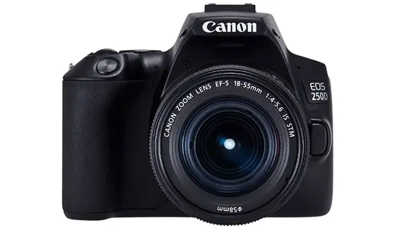 Small in Size, Big on Features This is the New Canon EOS 250D