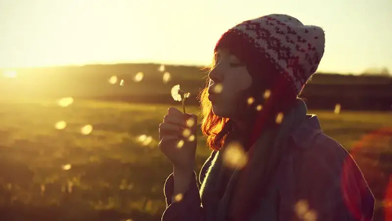 Why You Should Own A 50mm Prime