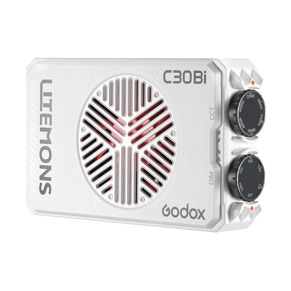 Godox Litemons C30BI Bi-Color LED Light Panel