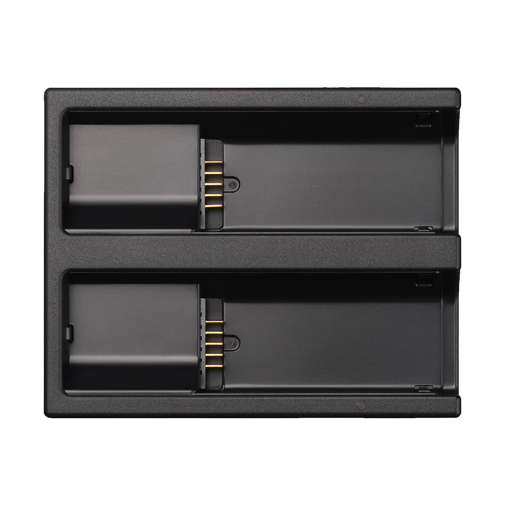 Sigma BC-81 Battery Charger