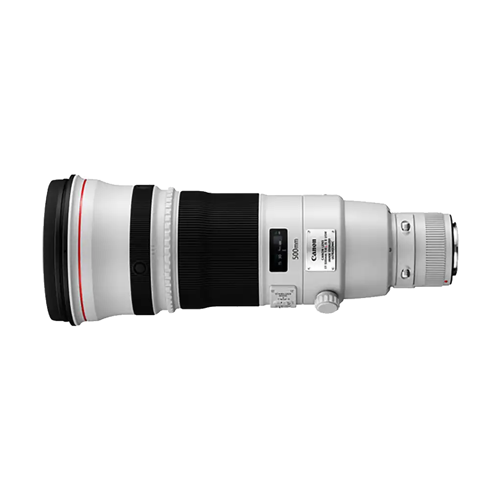 Canon EF 500mm f/4 L IS II USM Lens