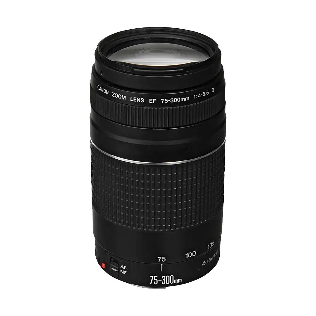 Canon EF 75-300mm f/4-5.6 III Lens