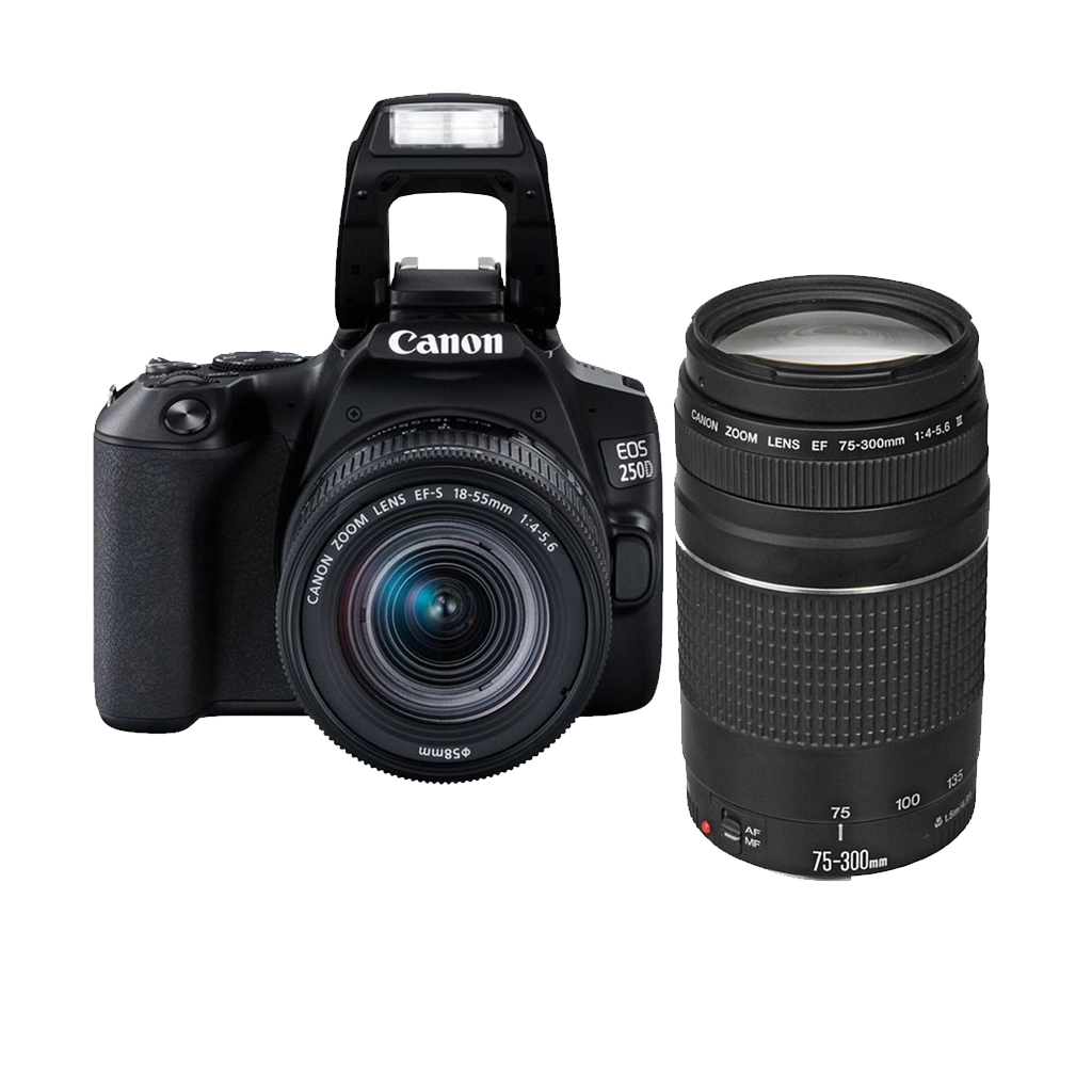Canon EOS 250D DSLR Double Lens Kit Orms Direct South Africa