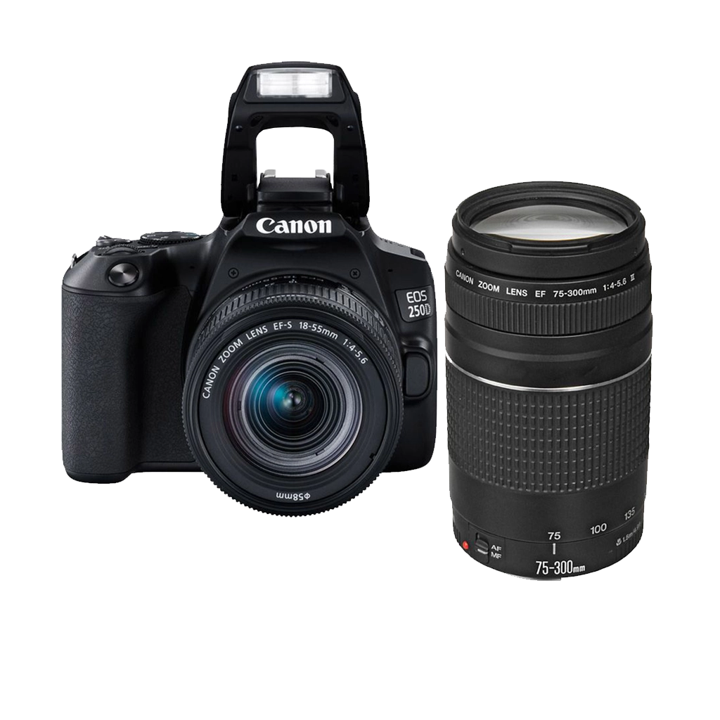 Canon EOS 250D DSLR Double Lens Kit