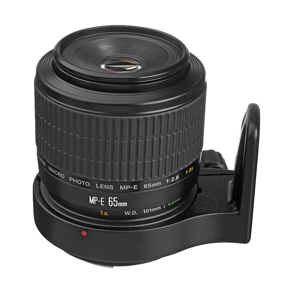 Canon MP-E 65mm f/2.8 (1-5x) Macro Lens