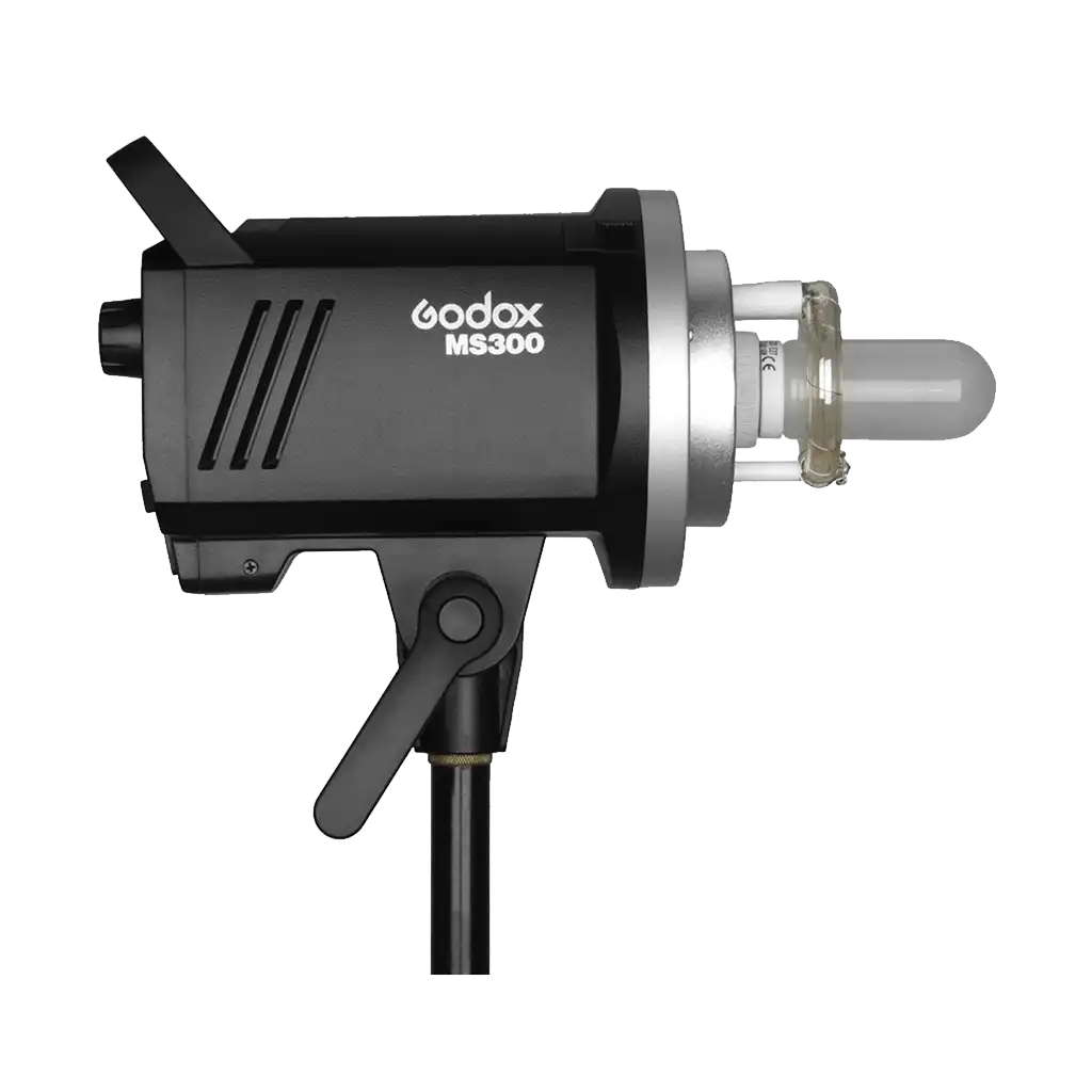 Godox MS300 2 Light Studio Flash Kit