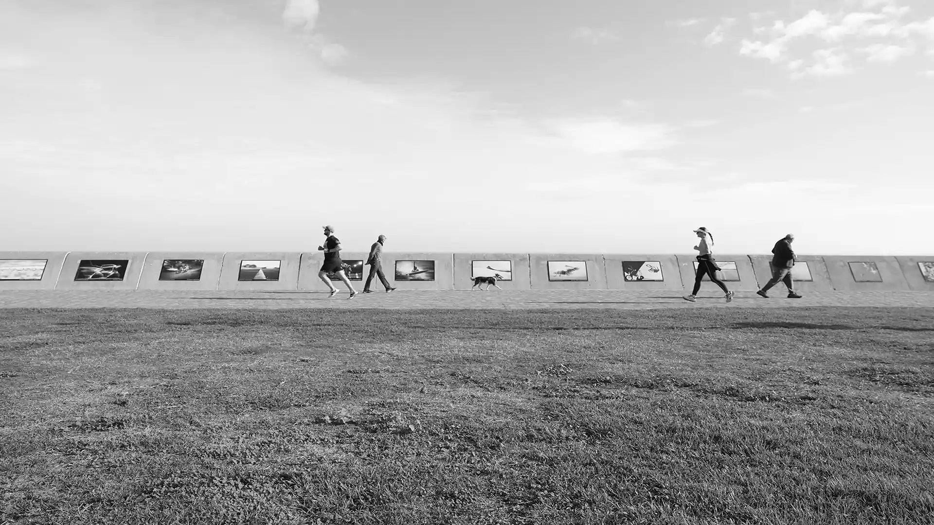 Orms x Canon: Chasing Contrast. The Sea Point Promenade Photographic Exhibition Competition is back!