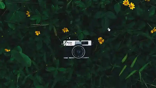 Are You a Film or Digital Photographer? This Fun Quiz Will Give You the Answer.
