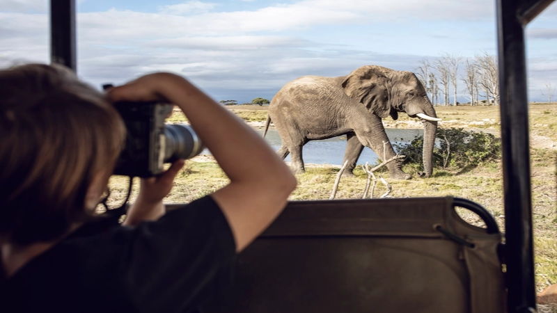 Capture the Wild As You See It: The Ultimate Wildlife and Safari Gear Guide