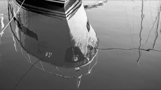 Black & White Photography: Mastering Monochrome Mode