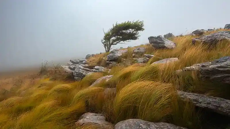 Capturing Nature's Magic: The Breathtaking Landscapes of Hein Kotzé