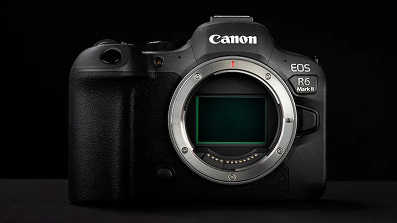 Discover The Mastery With The New Canon EOS R6 Mark II