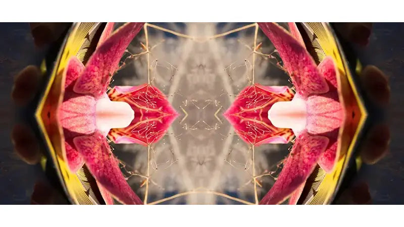 Exhibition Preview: Animata By Oliver Barnett