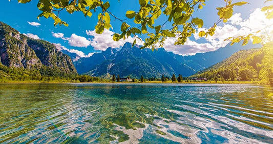 Earth Day Through the Lens: How Photography Can Inspire Change