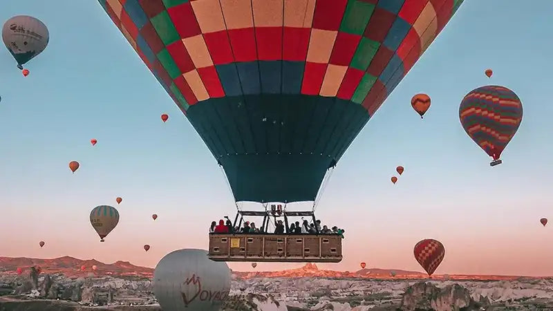 The Whimsical World of Accidentally Wes Anderson