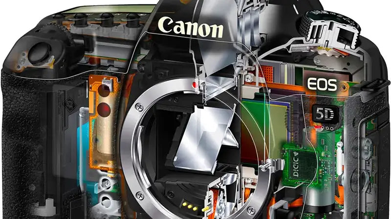 Why You Should Own A DSLR Camera