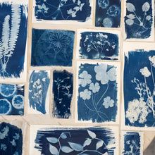 Cyanotype Workshop