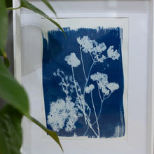 Cyanotype Workshop