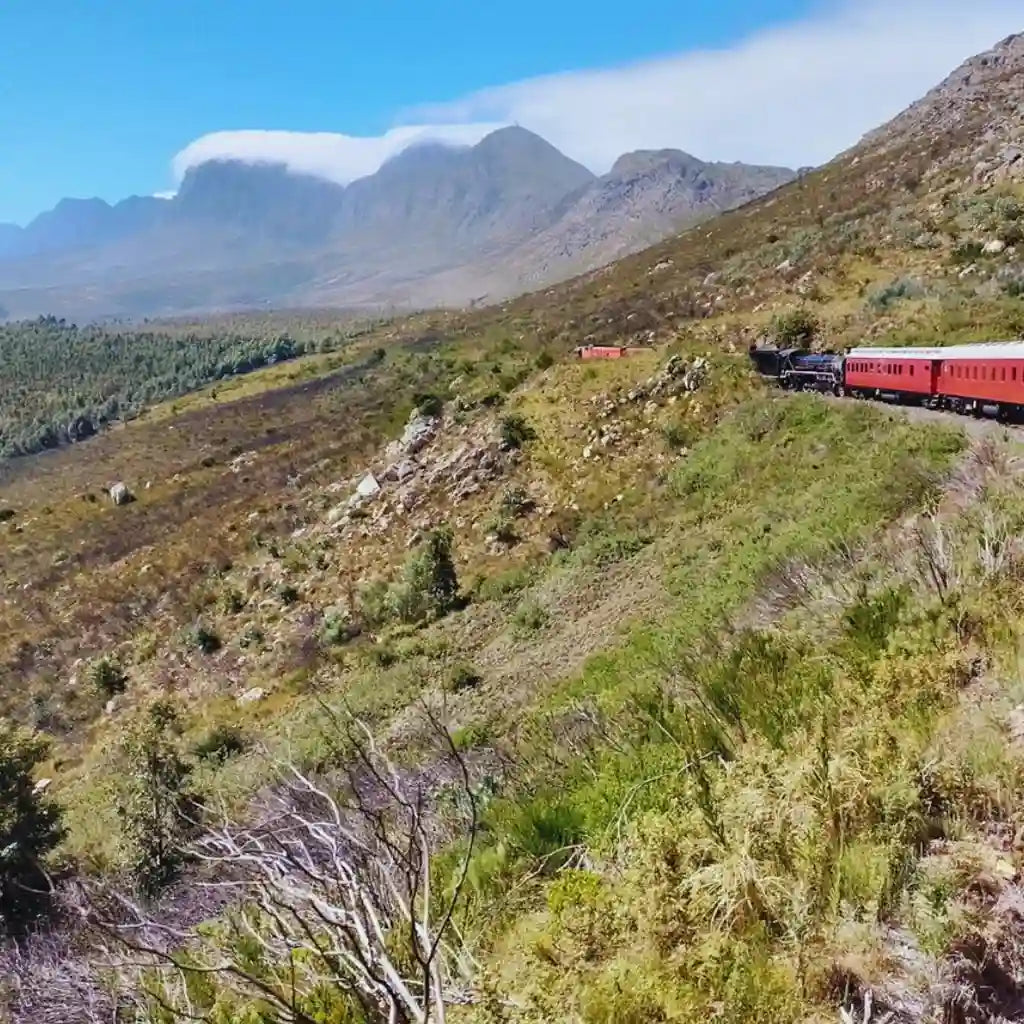 Orms X Canon X Elgin Ceres Railway Event