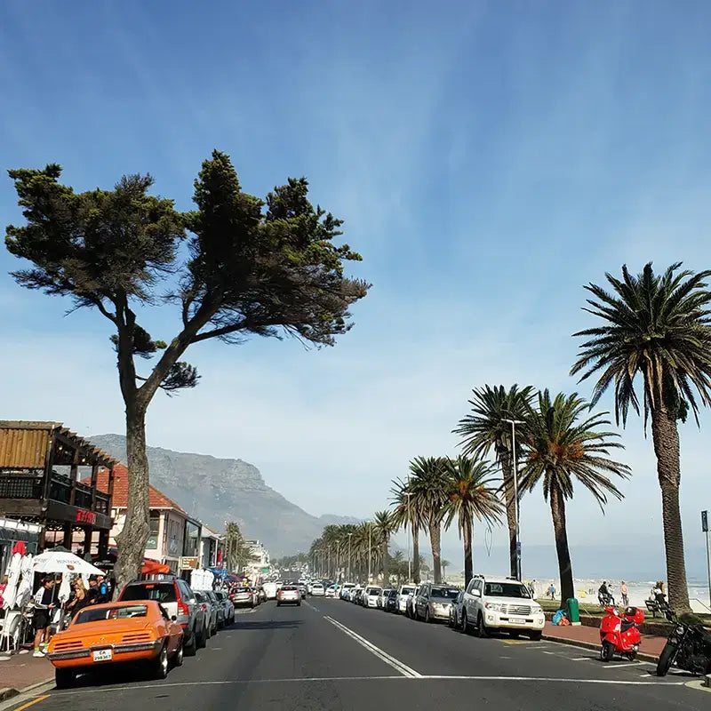 Sony Red Bus Cape Town Tour