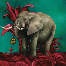 WHIMSICAL COLLECTION - Image 2