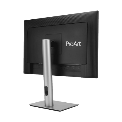 ASUS ProArt Display PA248CRV 24.1" HDR Monitor