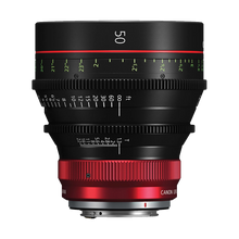 Canon CN-R 50mm T1.3 L F Cinema Prime Lens (Canon RF)