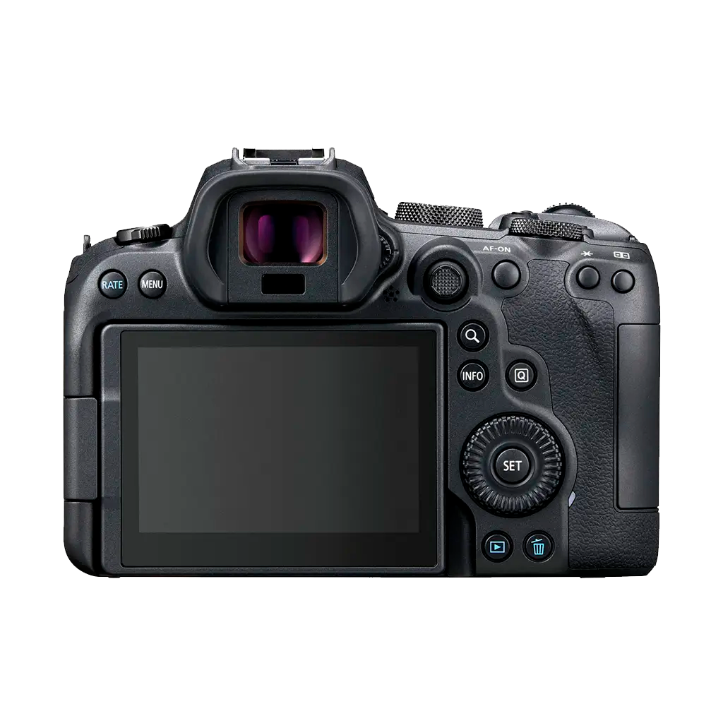 Canon EOS R6 Mirrorless Camera with RF 24-105mm f/4-7.1 IS STM Lens