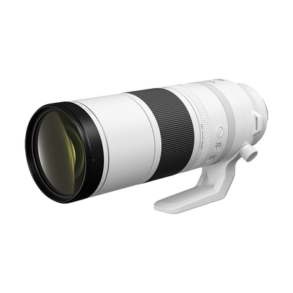 Canon RF 200-800mm f/6.3-9 IS USM Lens
