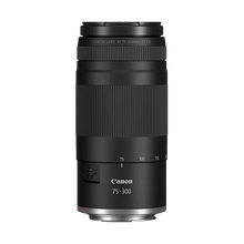 Canon RF 75-300mm f/4-5.6 Lens