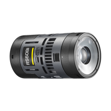 Godox RS60Bi Bi-Color LED Monolight