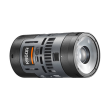 Godox RS60R RGB LED Monolight 2-Light Kit