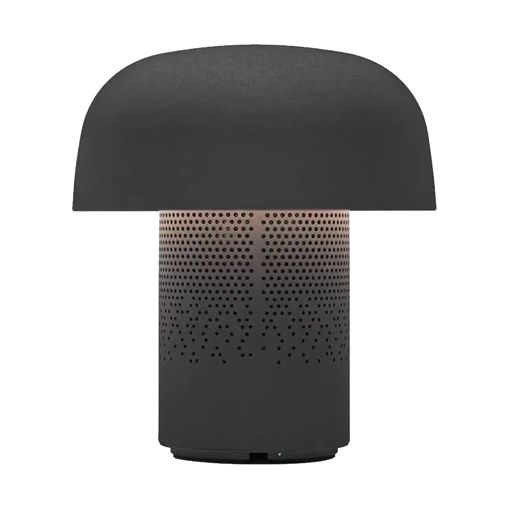 Kooduu Sensa PLAY Mini Speaker (Anthracite)
