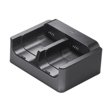 Leica BC-SCL6 USB-C Dual Charger