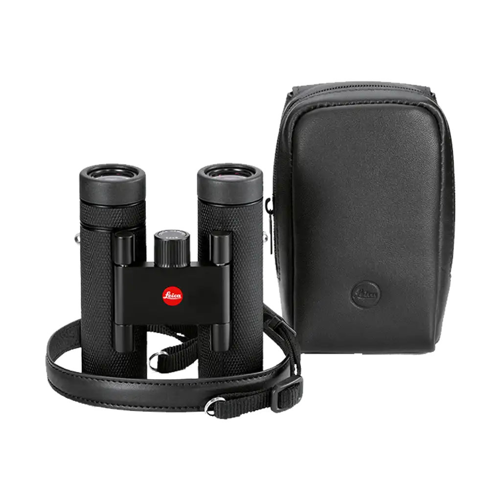 Leica Noctivid 10x25 Compact Binoculars (Leather)