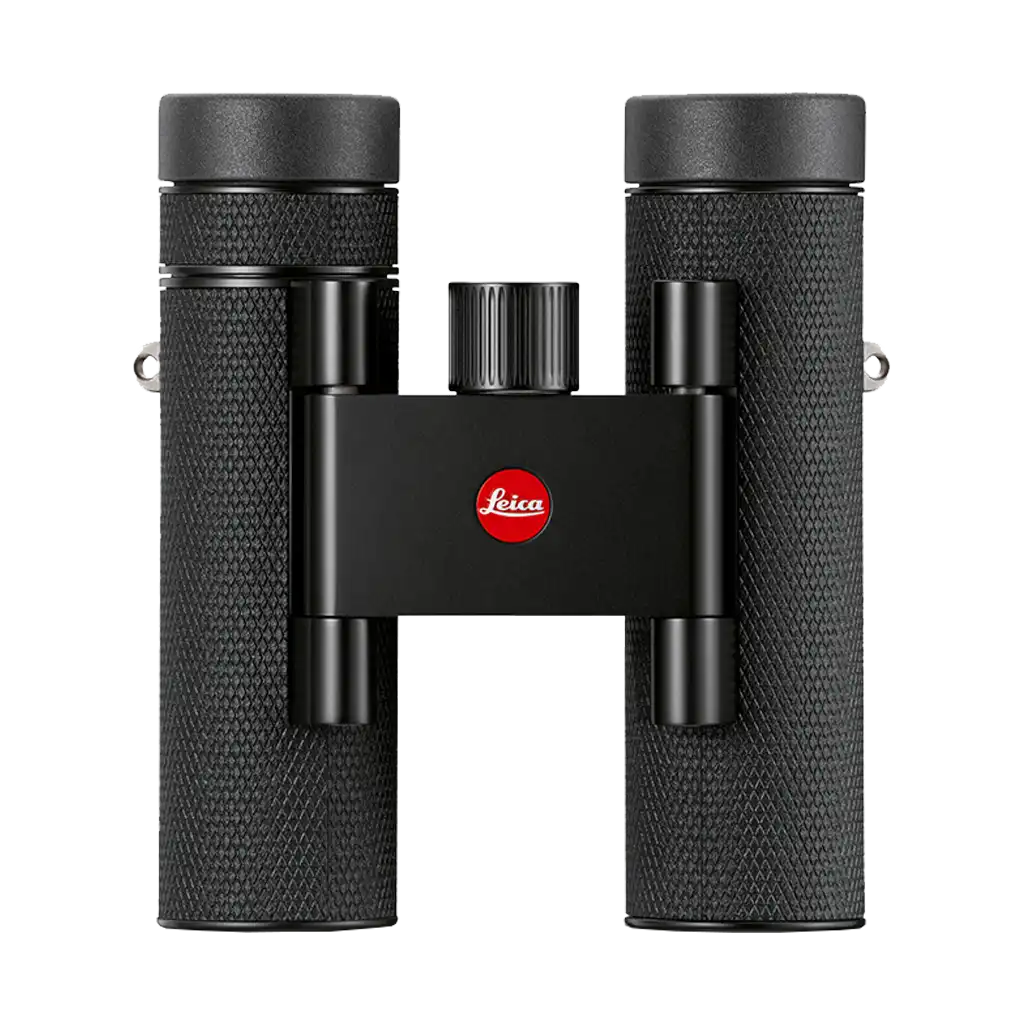 Leica Noctivid 10x25 Compact Binoculars (Leather)