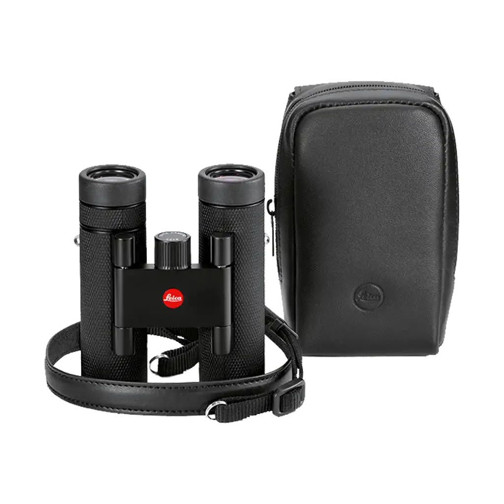 Leica Noctivid 8x25 Compact Binoculars (Leather)