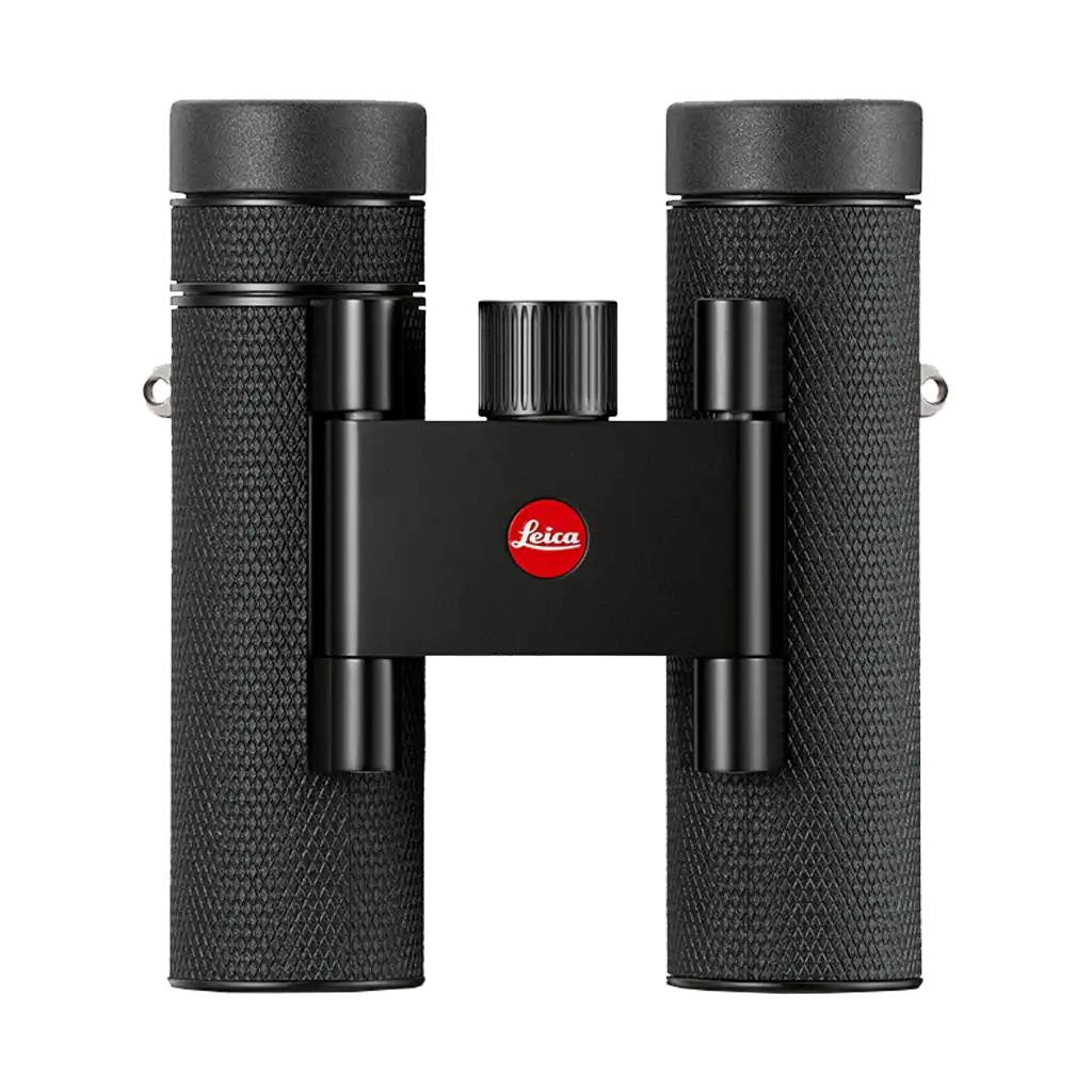 Leica Noctivid 8x25 Compact Binoculars (Leather)