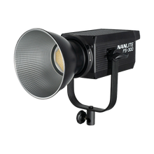 Nanlite FS-300 Daylight LED Monolight