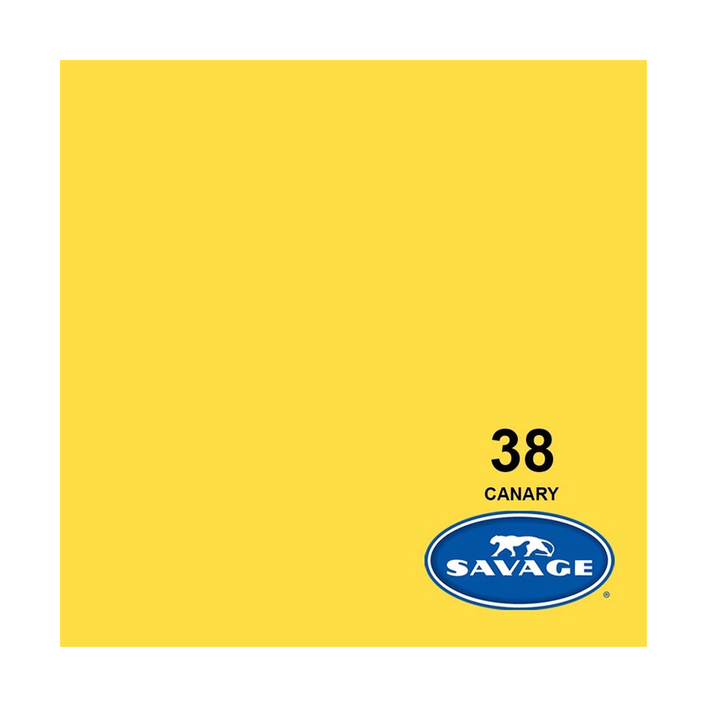 Rental: Savage Background Paper Canary Yellow 38