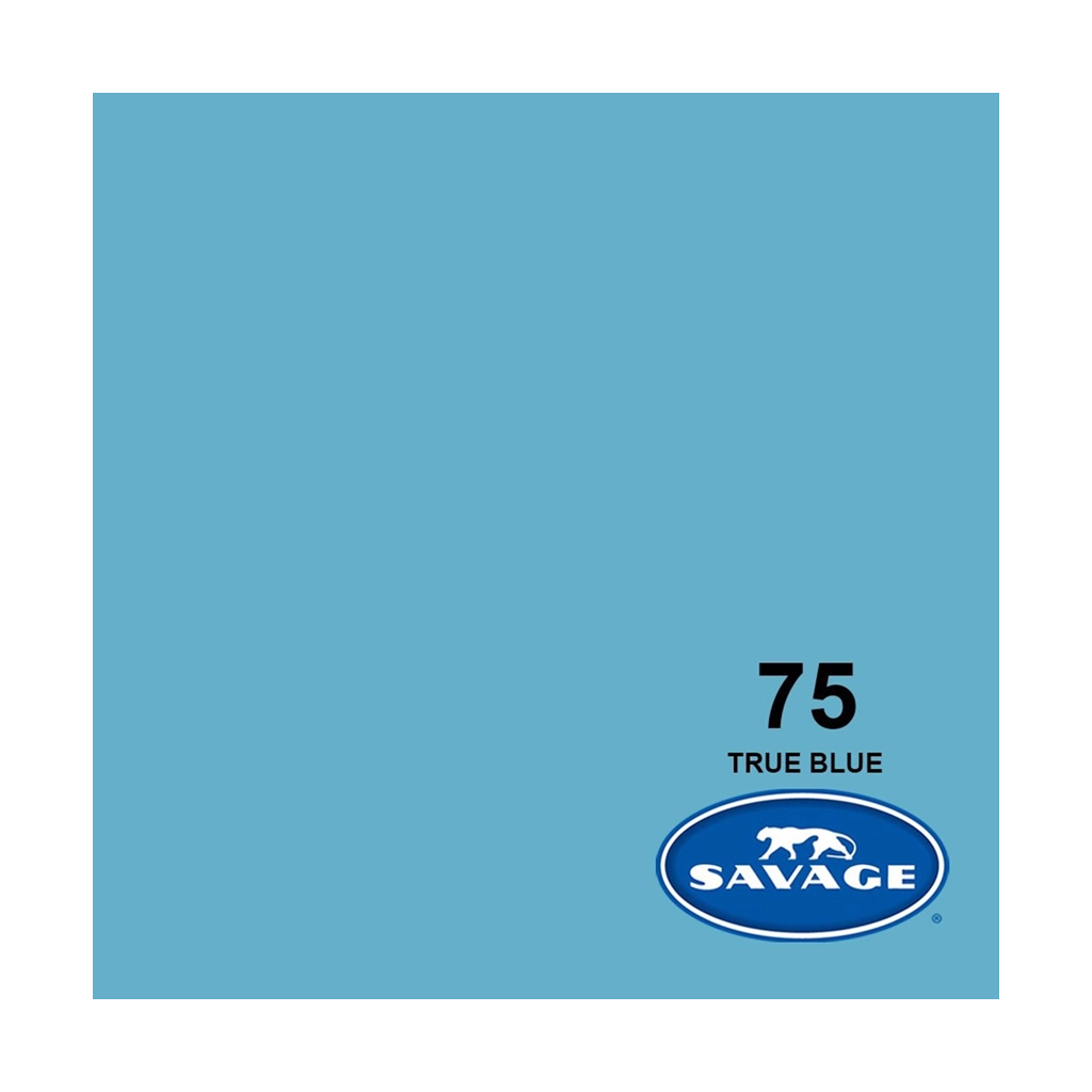 Rental: Savage Background Paper True Blue 75