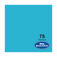 Savage Background Paper True Blue 75 (2.72m x 11m)